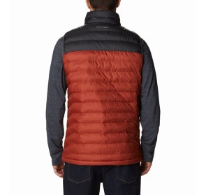 andriko-gileko-powder-lite-vest-normal (1)